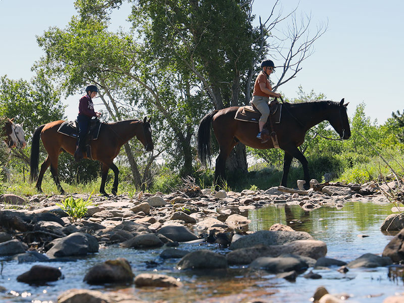 horseback riding