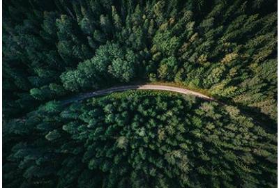 How to Celebrate World Environment Day (June 5th)