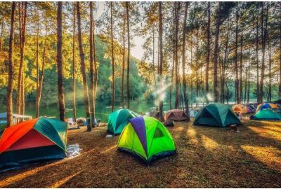Scouts BSA troop campsite early morning in the wilderness.