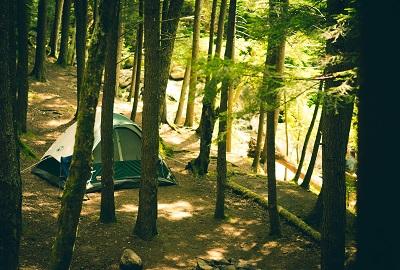 Camping With A Toddler For Beginners
