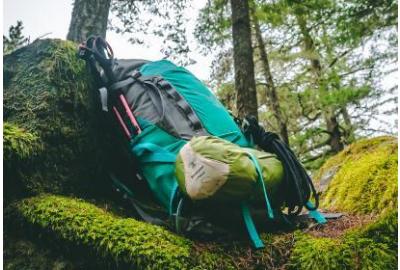 Green backpack on mossy rock.