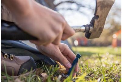 New to Scouting? Start Here