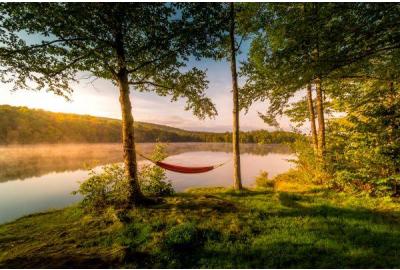 Hammock set up between two trees by a pond.