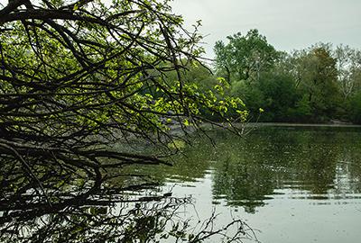 Leave No Trace and Zero Waste - How to Reduce Your Impact as a Scout