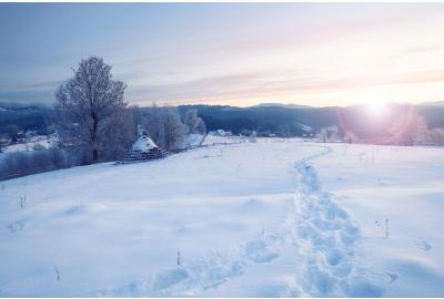 The Scout’s Guide to Camping in Winter Wonderland 