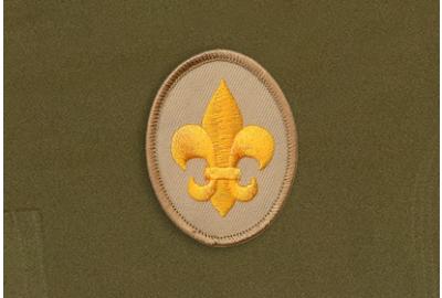 Getting Started In Scouts BSA: Earning the Scout Rank