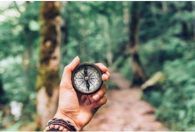Hiker using Scouts BSA compass on nature trail