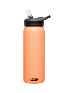 Camelbak Eddy+ 25oz Stainless Steel Bottle