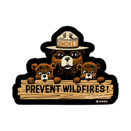 NoSo Prevent Wildfires Smokey Bear Patch