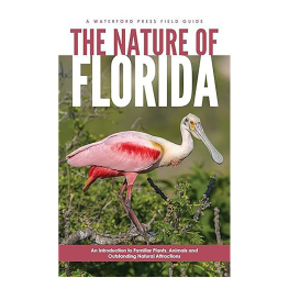 The Nature of Florida: An Intro to Familiar Plants Animals & Outstanding Natural Attractions