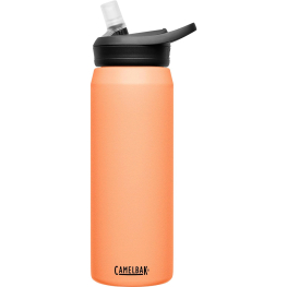 Camelbak Eddy+ 25oz Stainless Steel Bottle