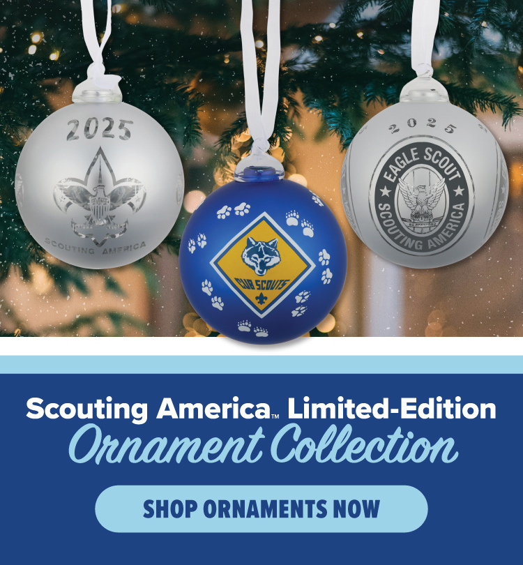2025 Ornaments 2025 Ornaments