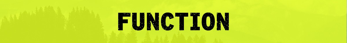 FUNCTION FUNCTION