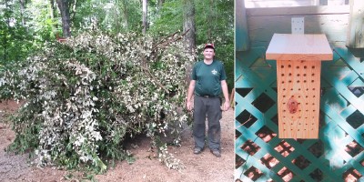Eagle Scout Micah standing next to a pile of removed invasive Autumn Olive plants in the forest, and close-up of a wooden wild bee habitat box mounted outdoors.