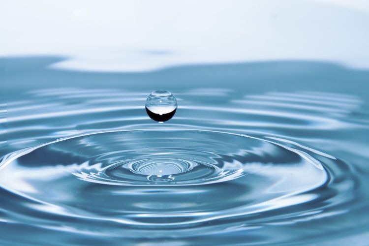 Droplet of water in a pond