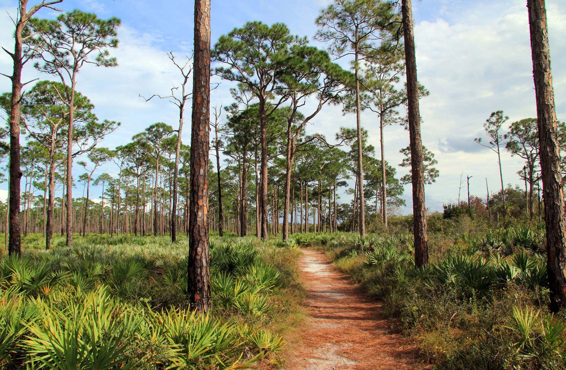 Jonathan Dickinson State Park
