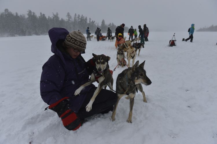 Scout pets a dog while winter camping