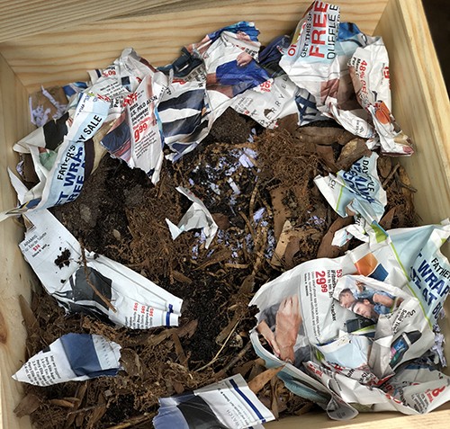 Worm composting bed with newspaper and twigs.